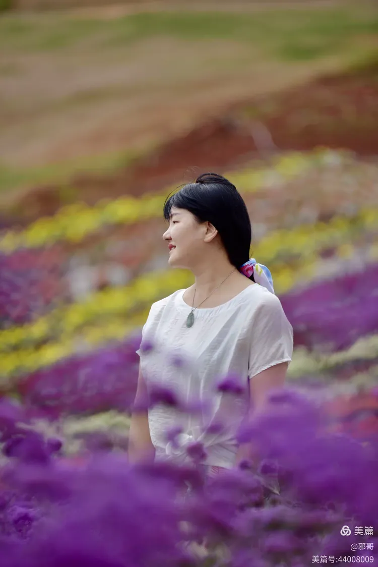 那一抹恬静的美